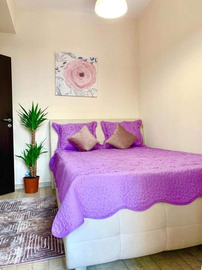 Designed Like Home Apartment Near Palas Mall Iasi Exteriér fotografie